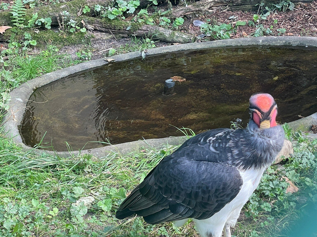Zoo Frankfurt-法兰克福必去景点