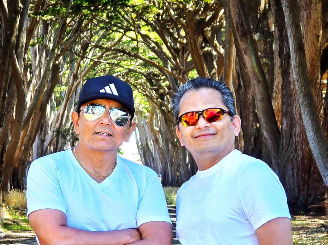 Cypress Tree Tunnel-Inverness必去景点