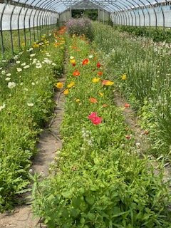 Snell Family Farm-West Buxton必去景点