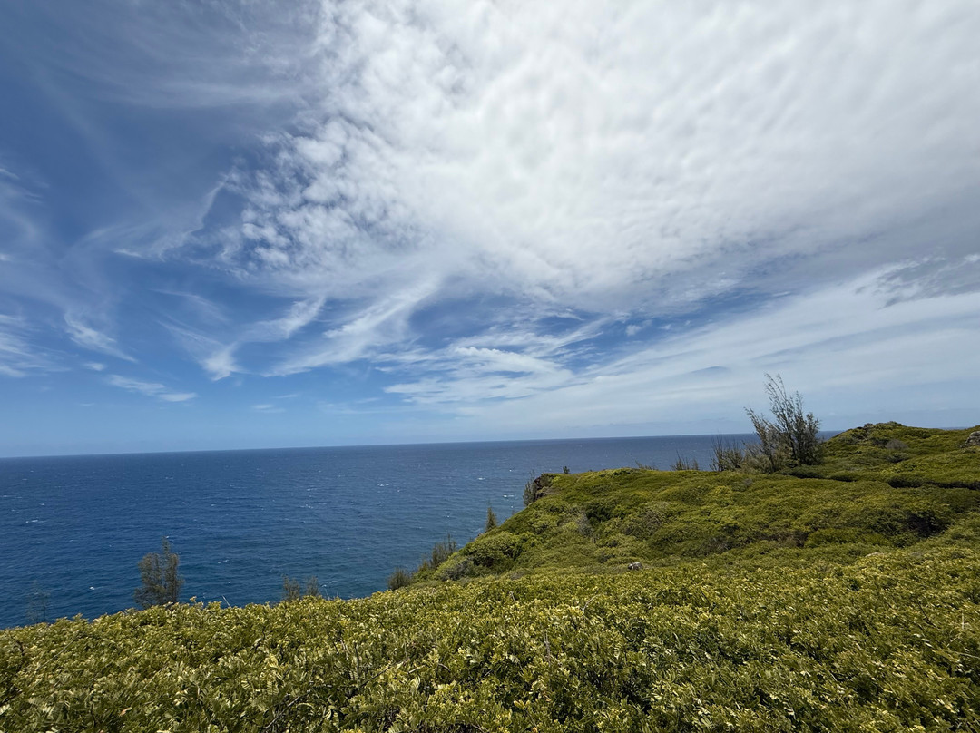 Ohai Loop Trail and Overlook-拉海纳必去景点
