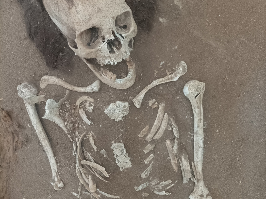 Museo De Sitio Colon 10-阿里卡必去景点