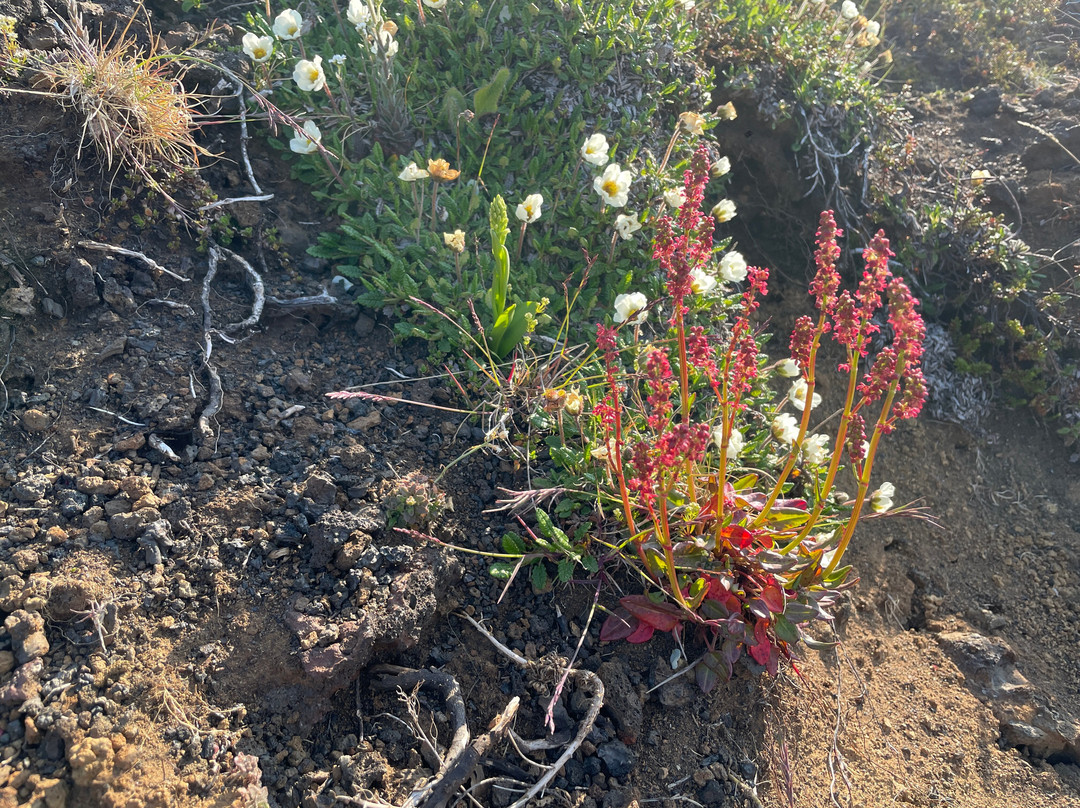 Saxholl Crater-Snaefellsbaer必去景点