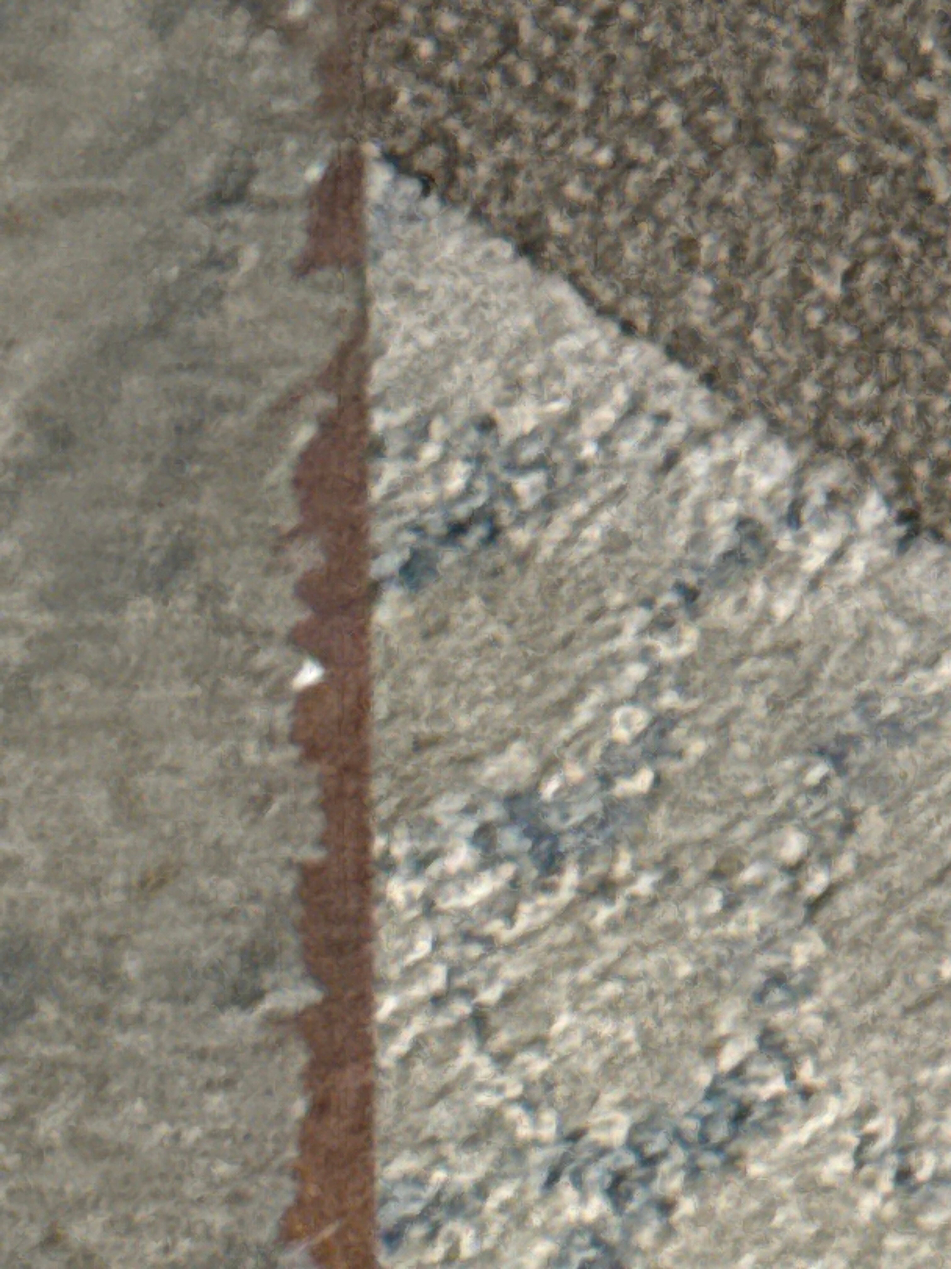 Doubletree By Hilton Jacksonville Airport-客卧