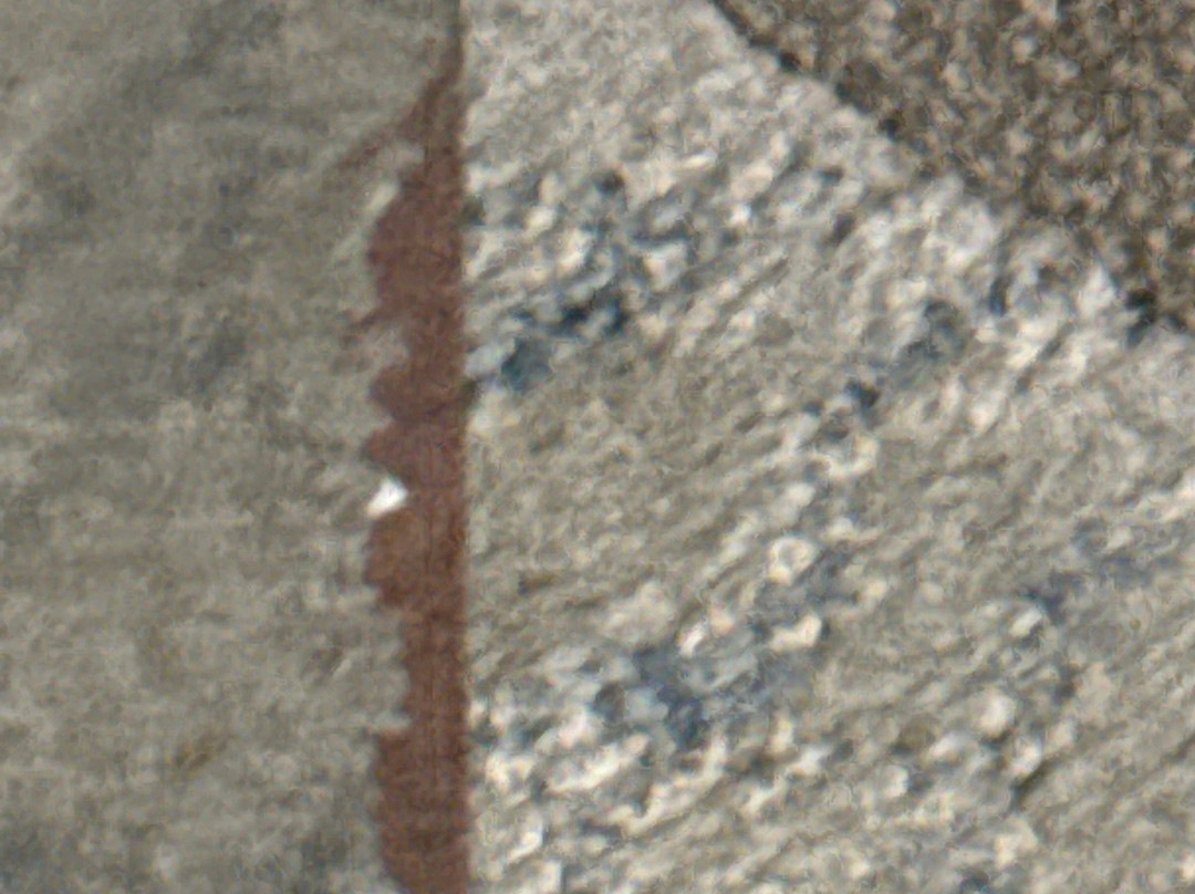 Doubletree By Hilton Jacksonville Airport主图