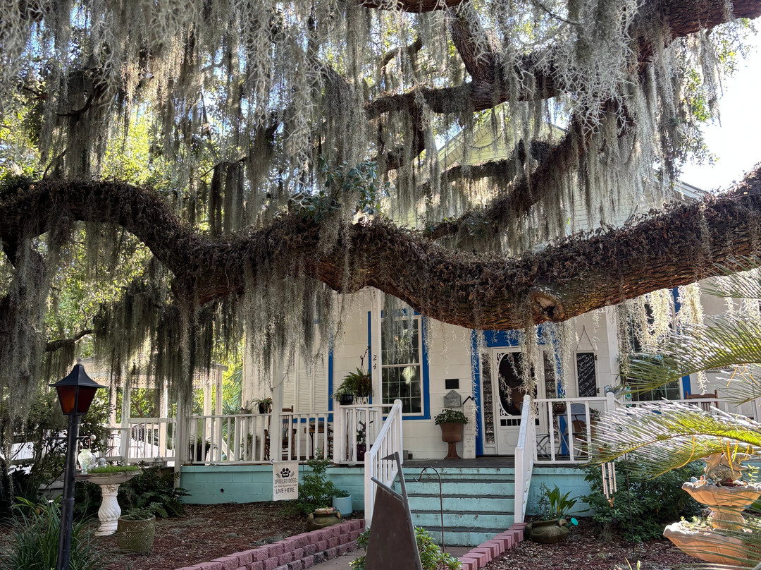 泰碧岛住宿加早餐酒店主图