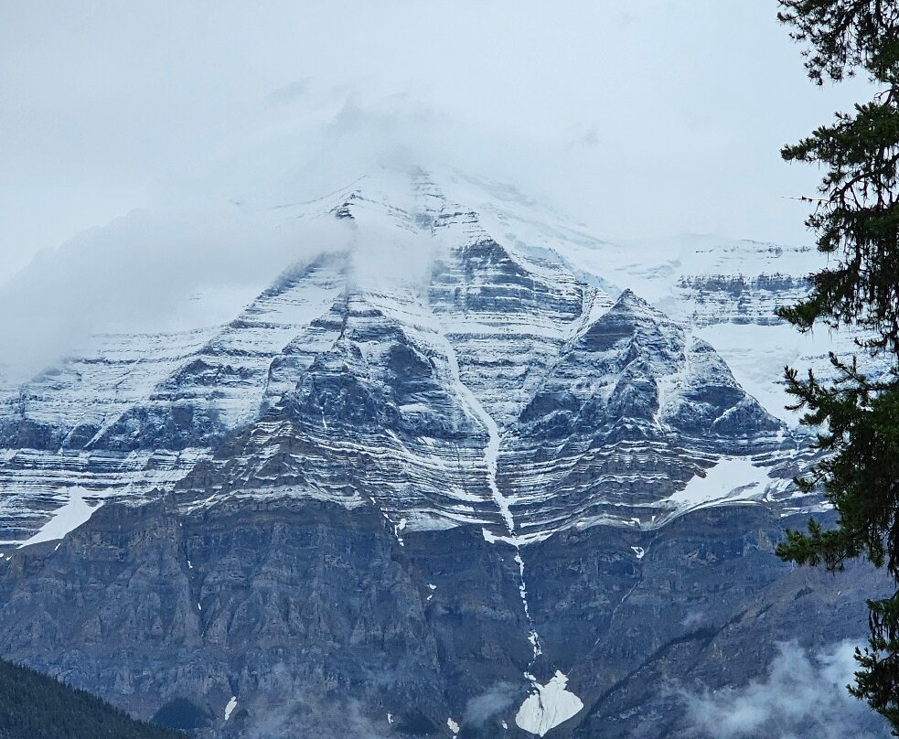 Dominion Tours-温哥华必去景点