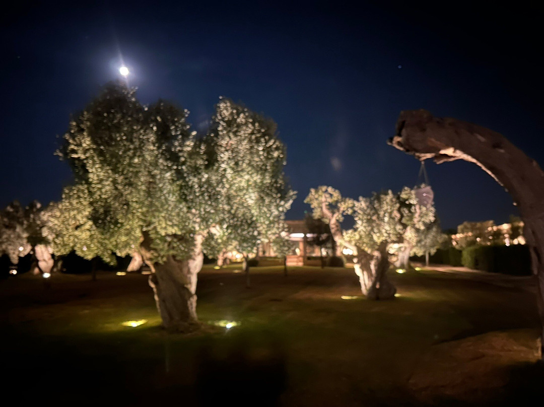 Masseria Torre del Diamante主图