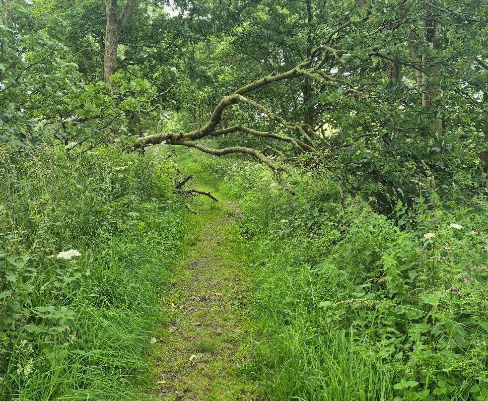 Kirkmadrine Stones-Stranraer必去景点