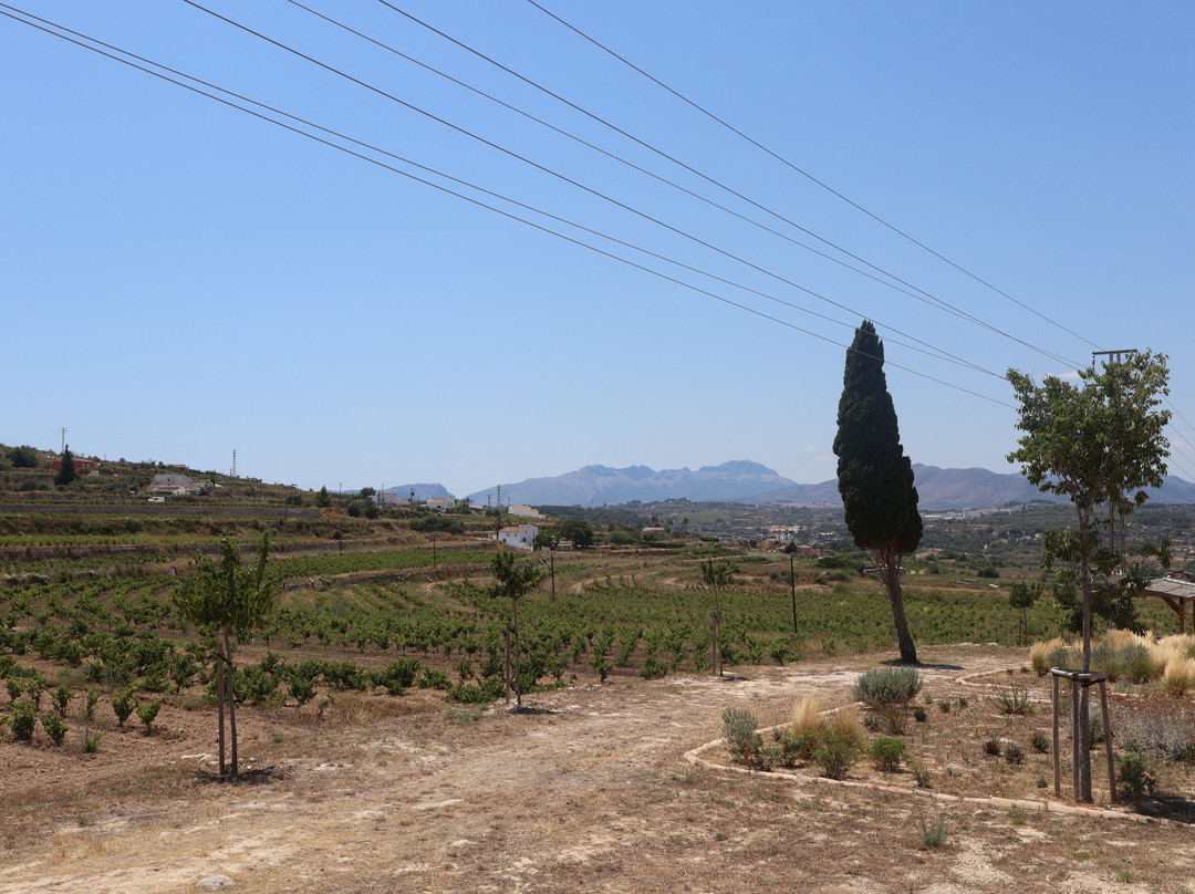 Bodega Montesanco Teulada-Teulada必去景点