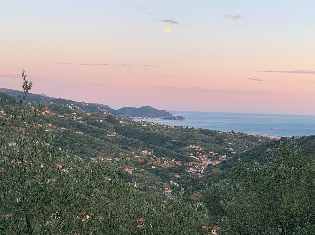 B&B Villa Bianca