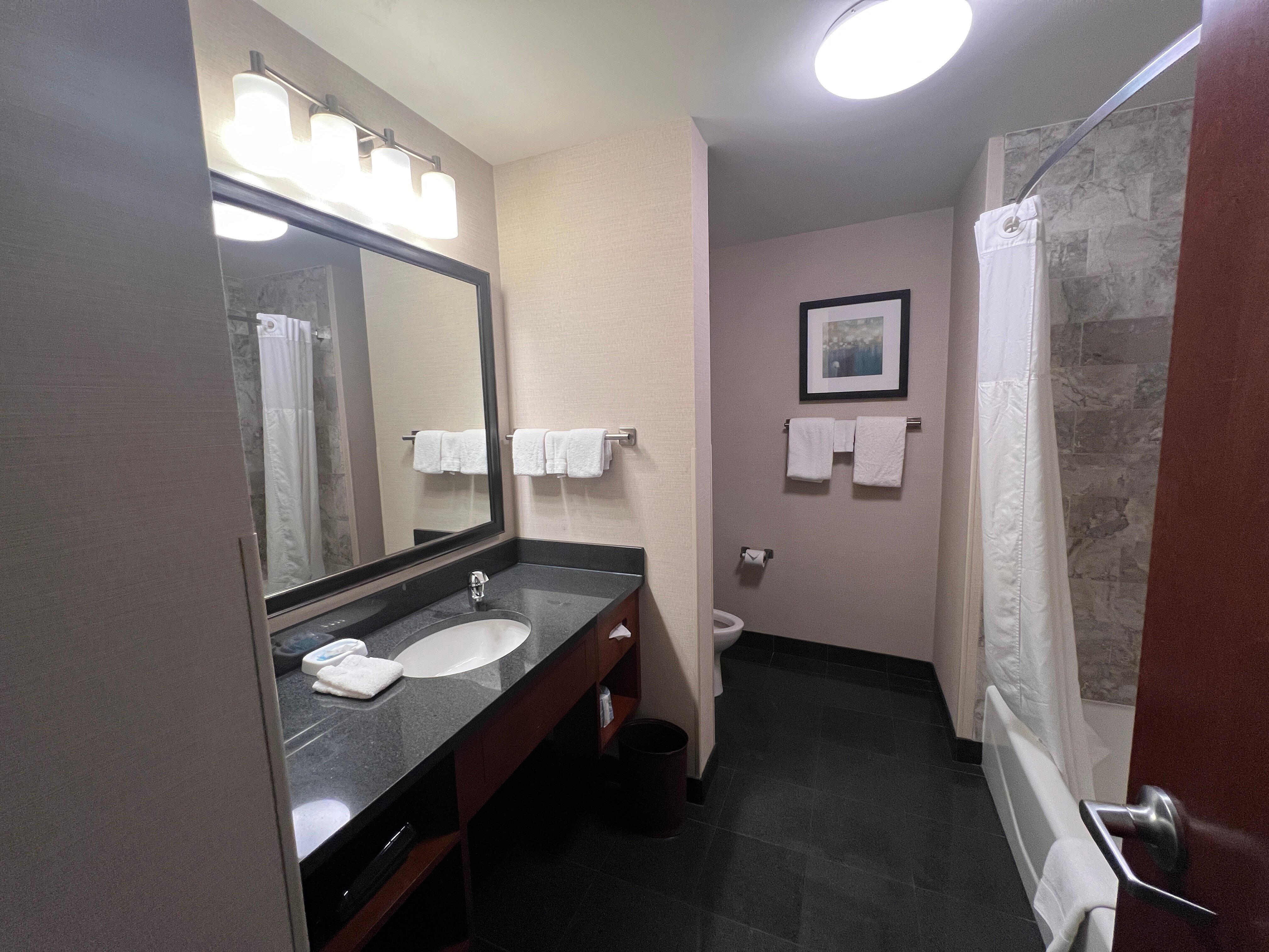 Drury Inn & Suites St. Louis Brentwood-浴室