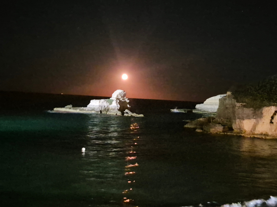 Masseria Bosco di Makyva主图