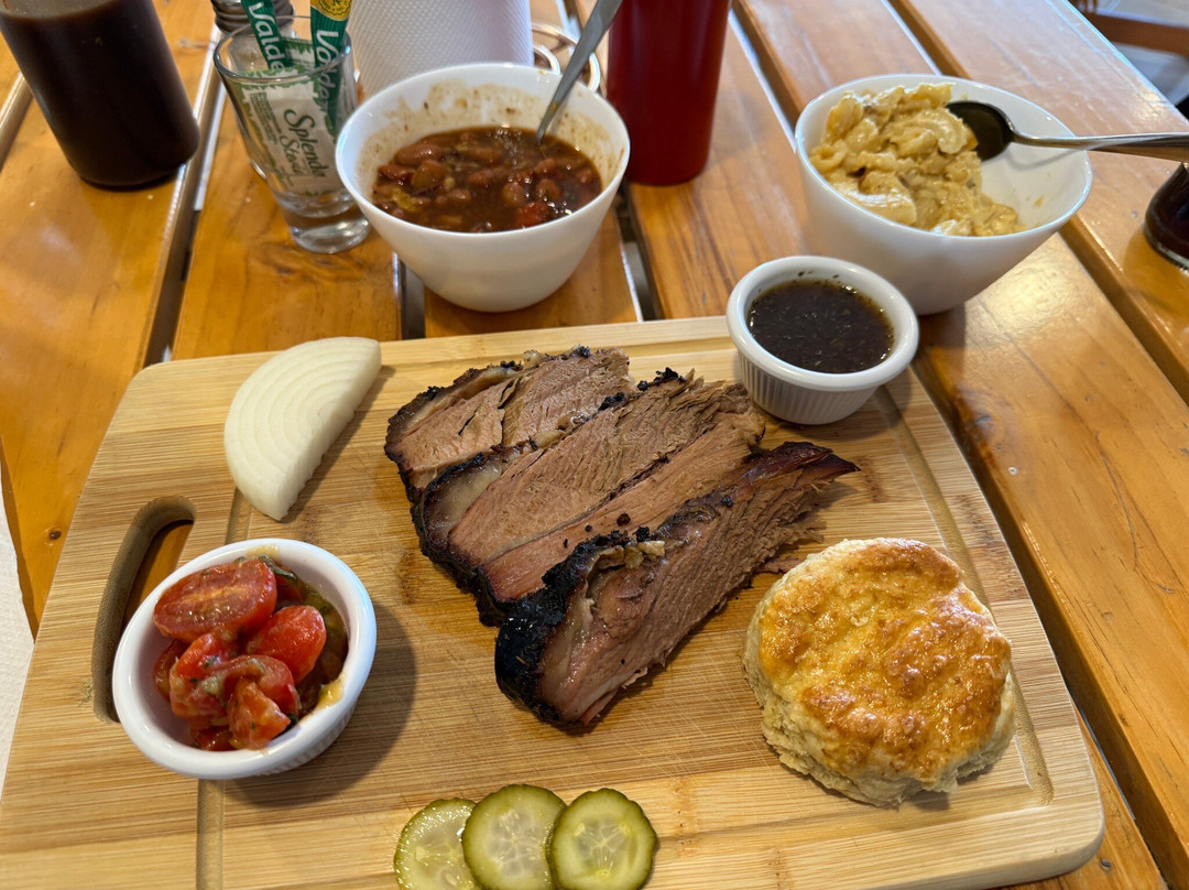 Pájaro Y Bestia - Bird & Beast