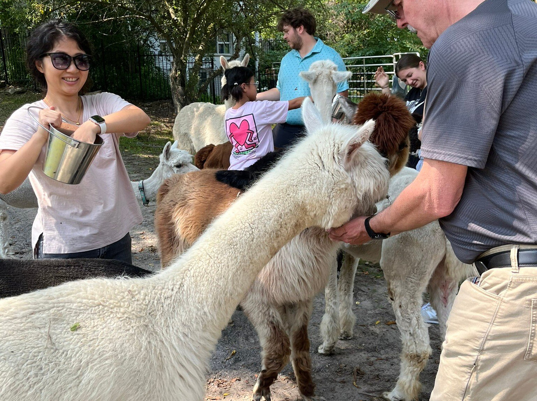 Old Mill Alpacas-Colborne必去景点