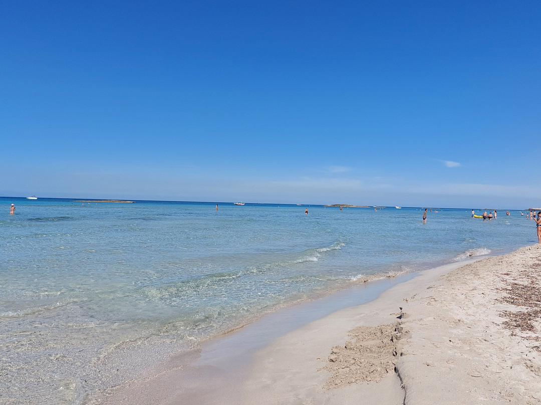 Urban Bed and Breakfast