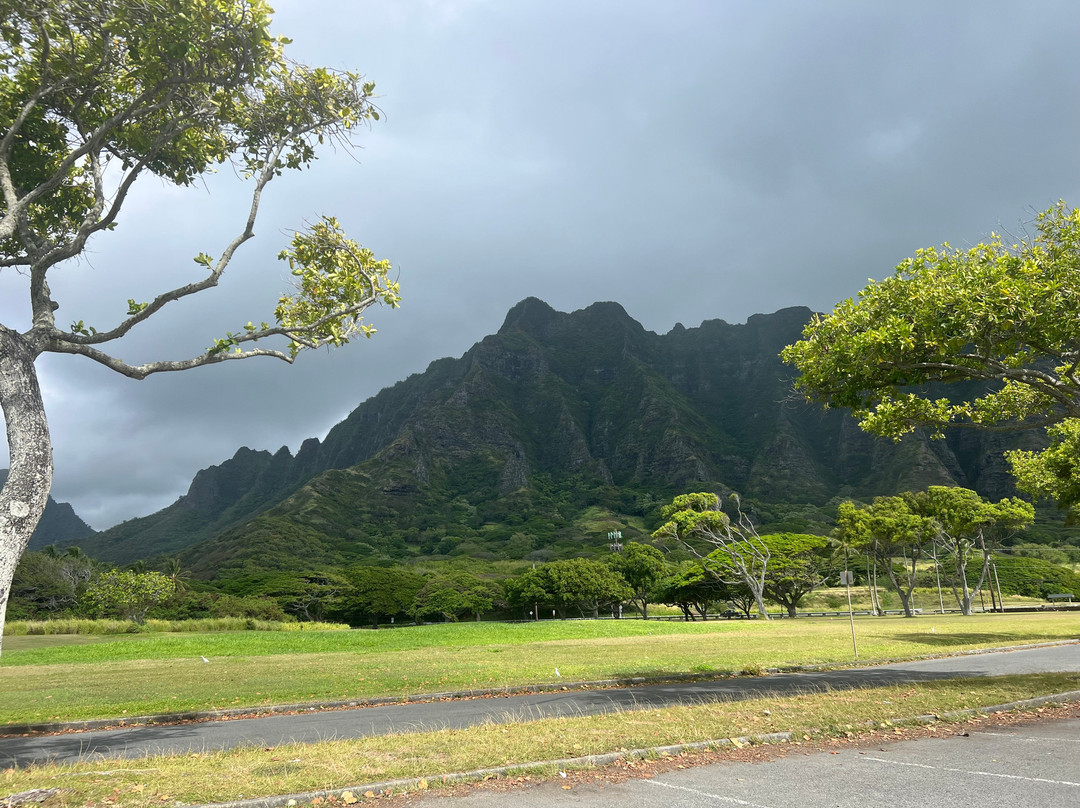 Aina Tours llc-火奴鲁鲁必去景点