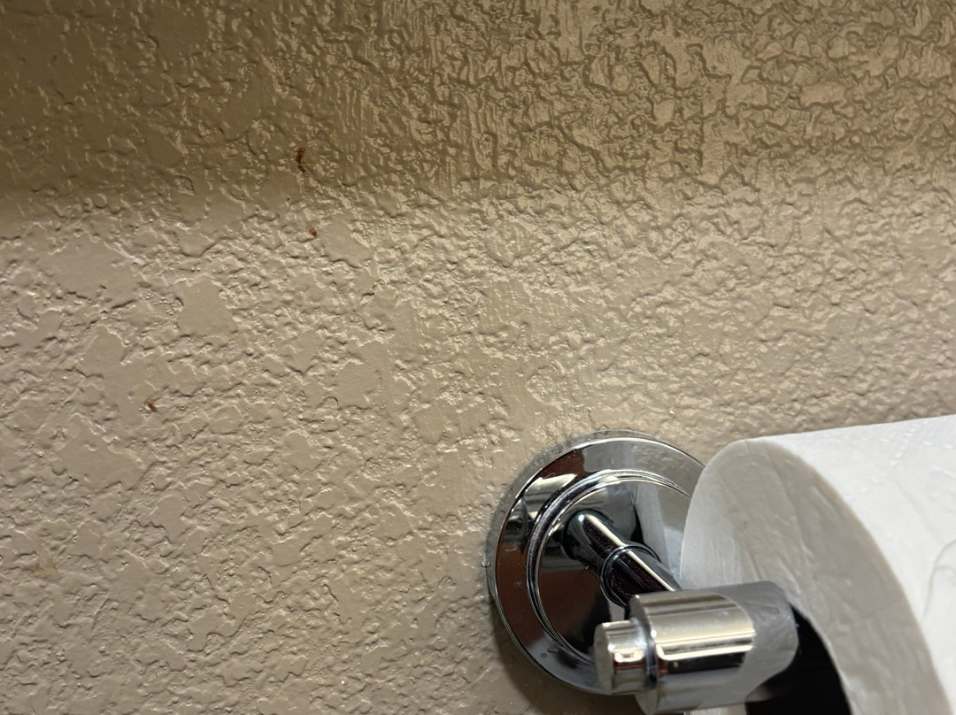 Staybridge Suites Salt Lake-West Valley City by IHG主图