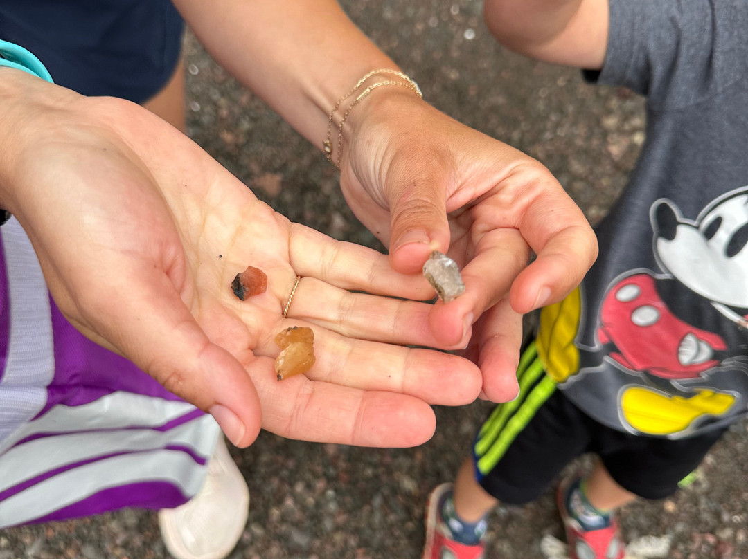 Fundy Treasure Tours-Joggins必去景点