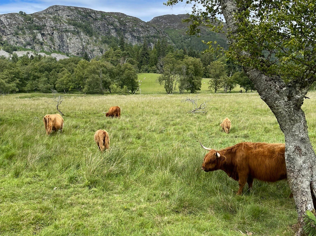 Spey River Farm-Newtonmore必去景点