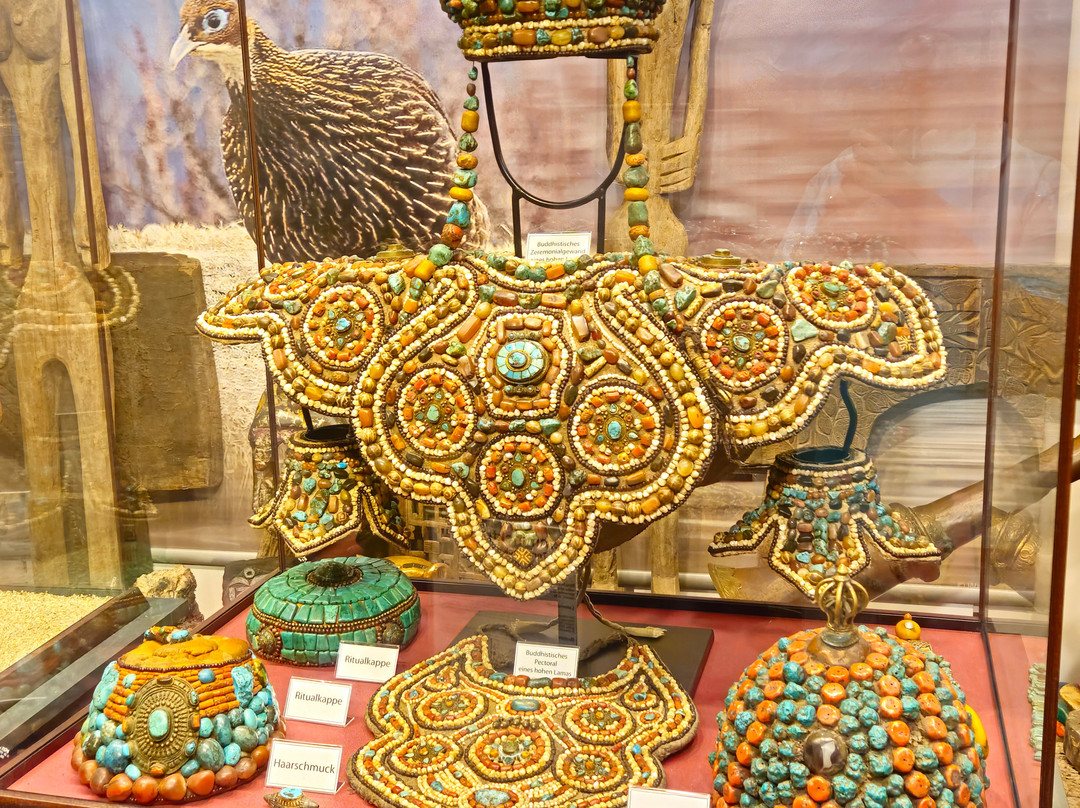 Naturmuseum Salzkammergut - Treffpunkt Natur-Ebensee am Traunsee必去景点