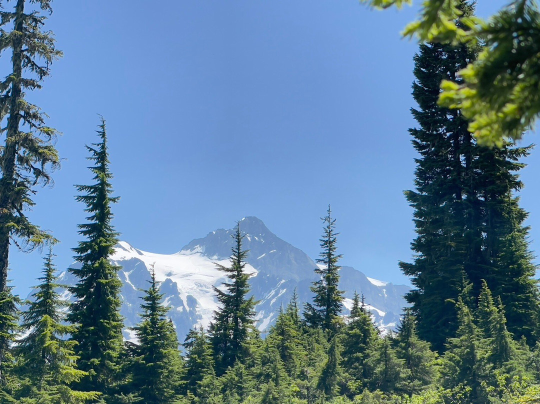 Mt Baker Ski Area-Glacier必去景点