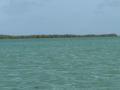 KeyZ Charters-伊斯拉摩拉达必去景点