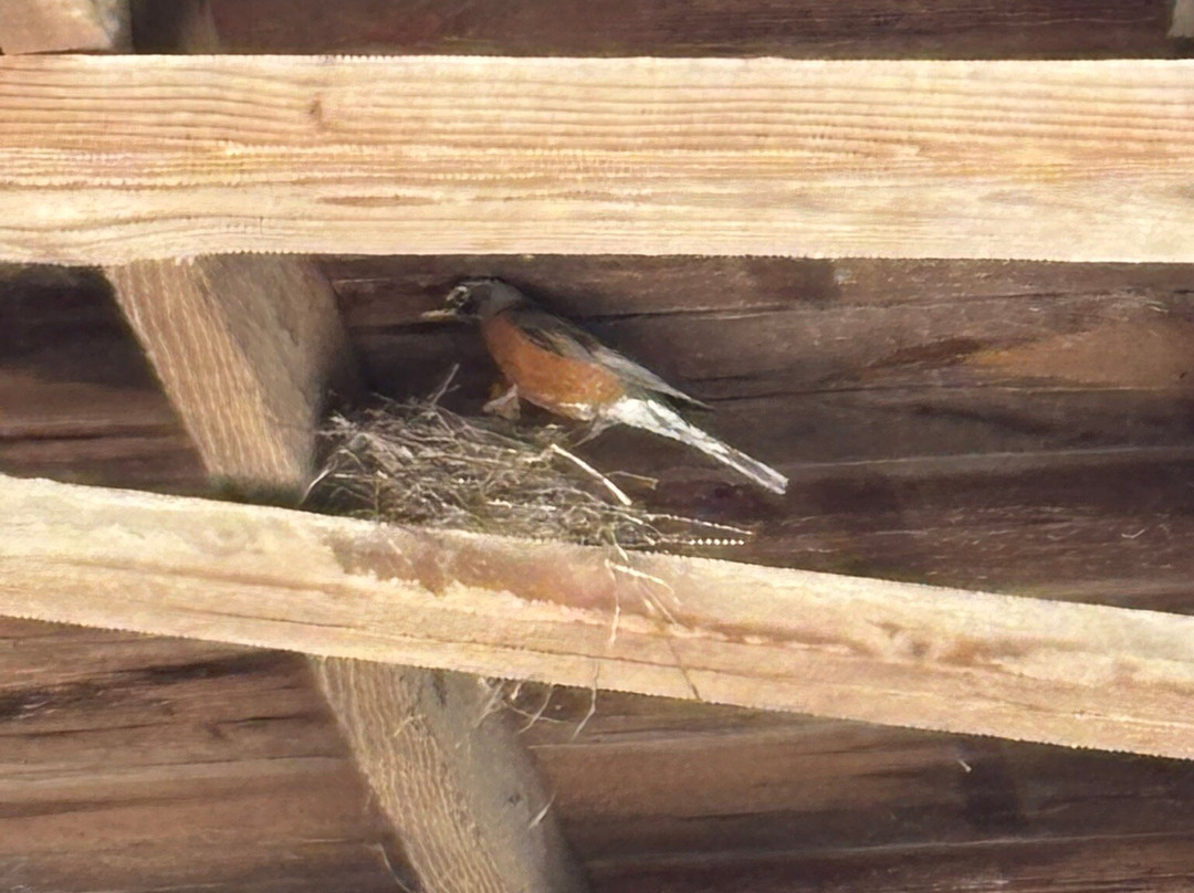 Holliwell Bridge-Winterset必去景点