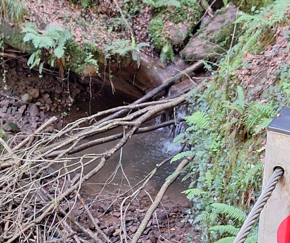 Villa Vontenie主图