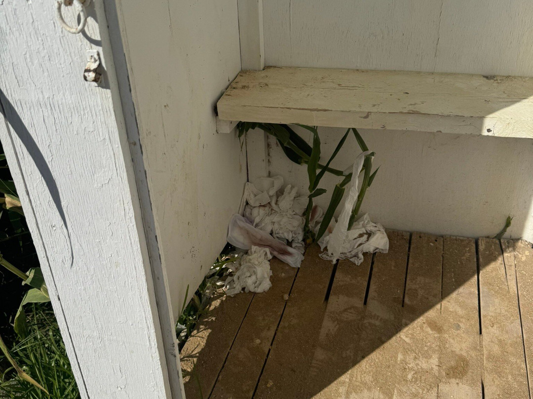 Avithos Beach-阿尔戈斯托利翁必去景点