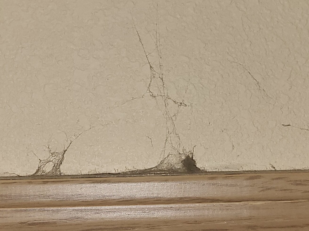 Best Western Stateline Lodge主图