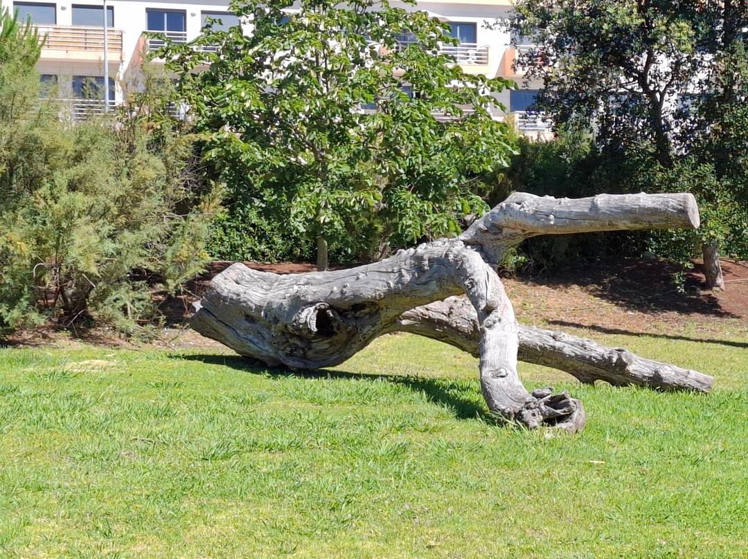 Parque Das Perdizes-Paco de Arcos必去景点