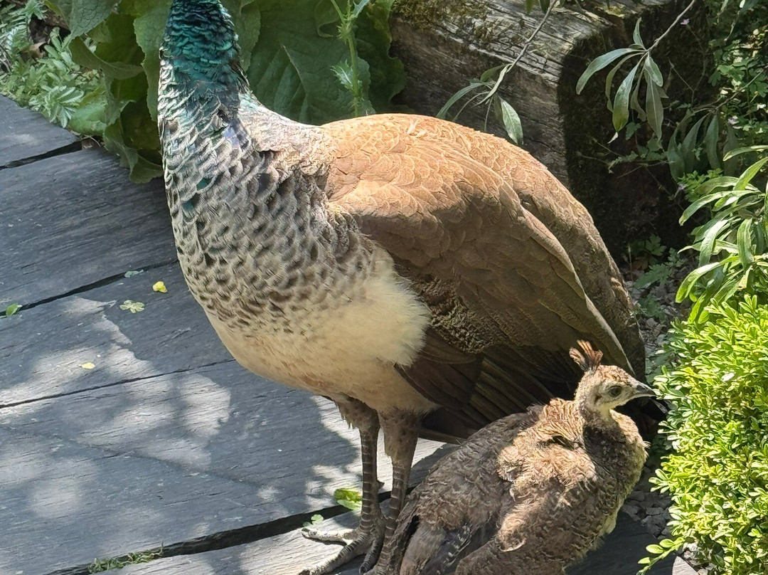 Jardin Botanique du Beau Pays-Marck必去景点