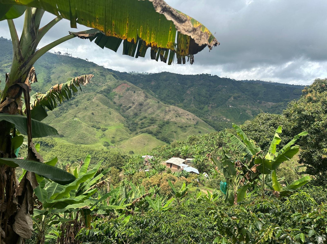 Hacienda La Gaviota-Chinchina必去景点