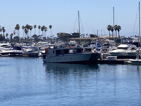 Gone Whale Watching-圣地亚哥必去景点
