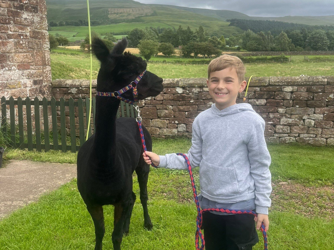 Lakeland Llama Treks-Melmerby必去景点