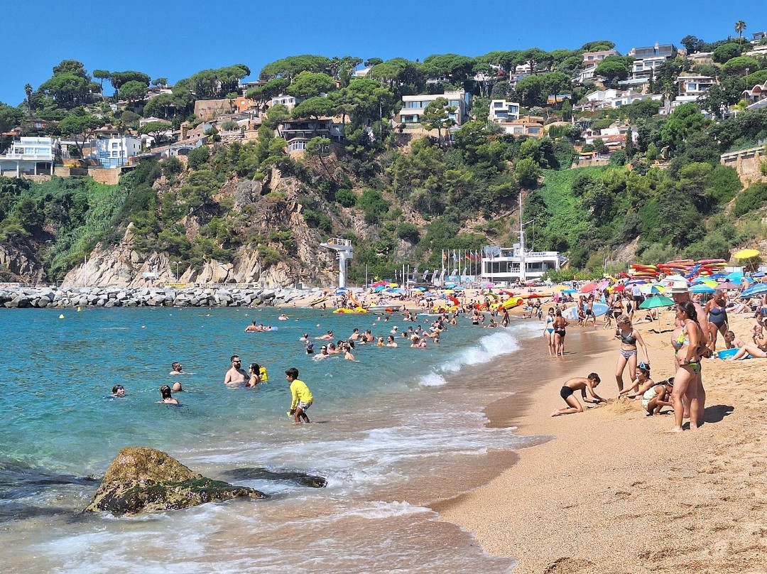 Platja de Canyelles-犹兰特德玛必去景点