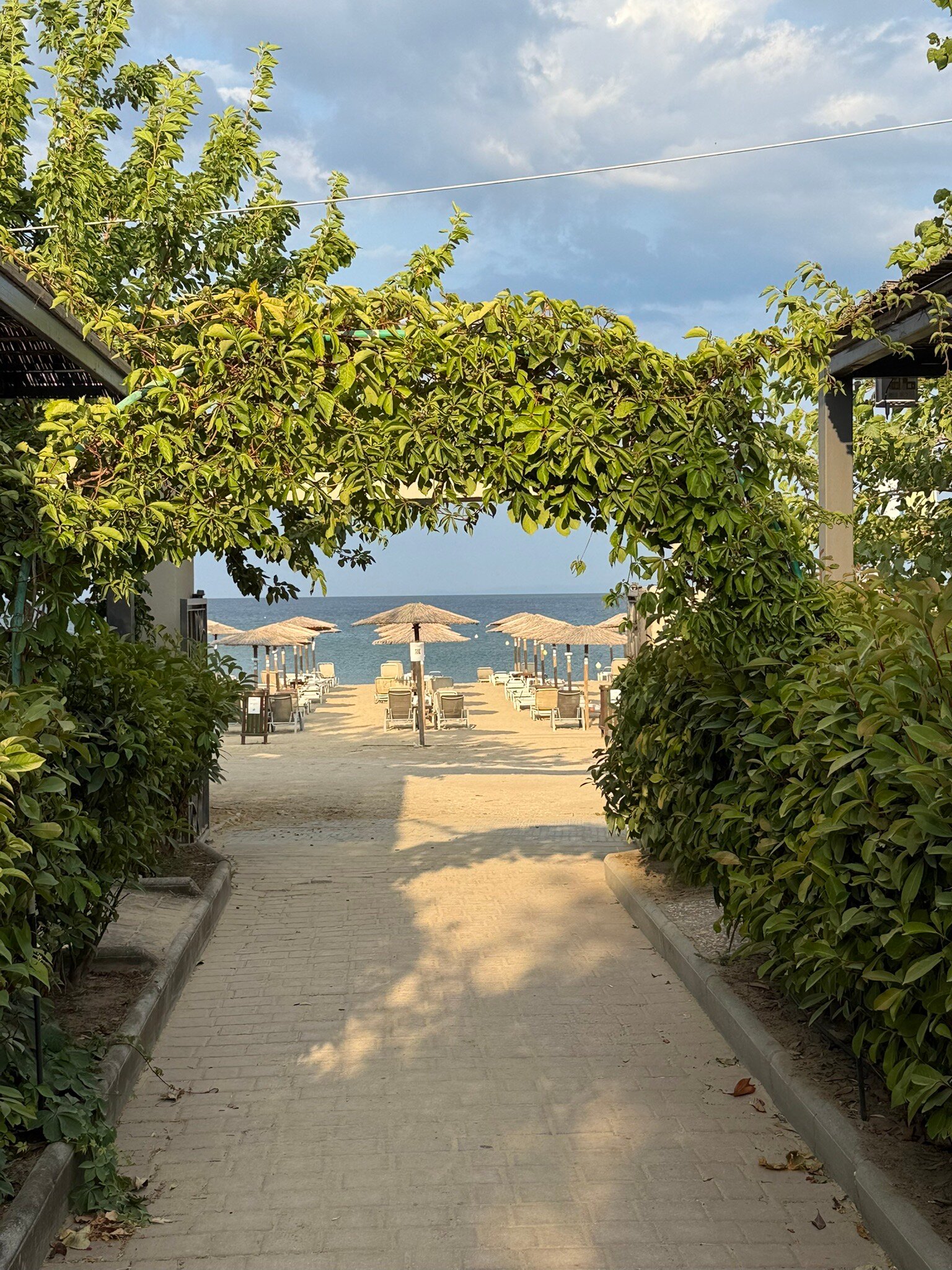 Atrium Hotel Thassos-官方