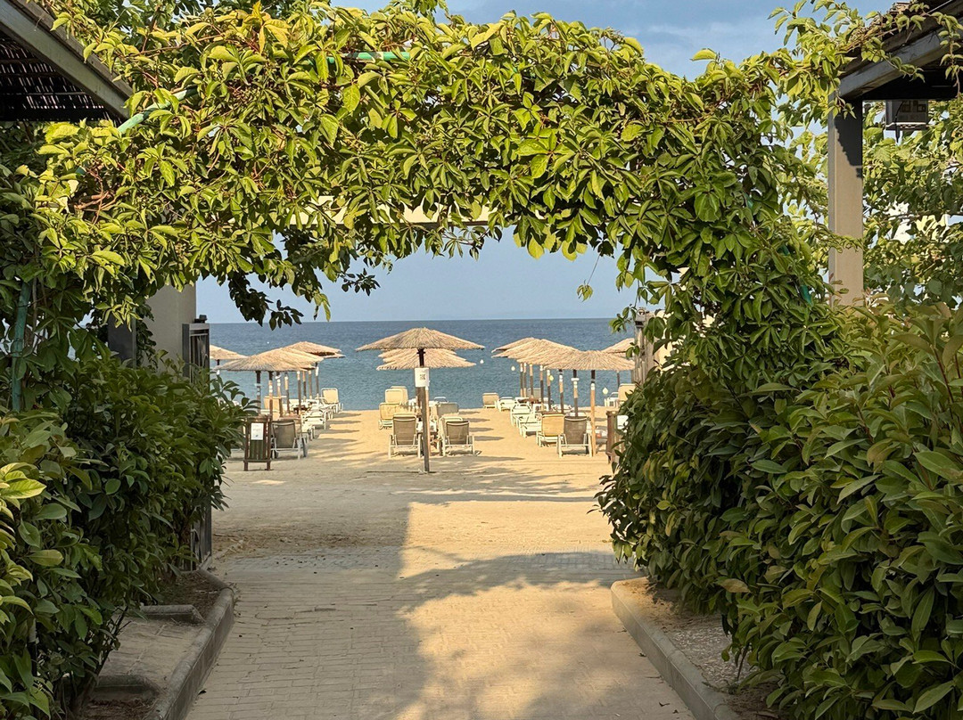 Atrium Hotel Thassos主图