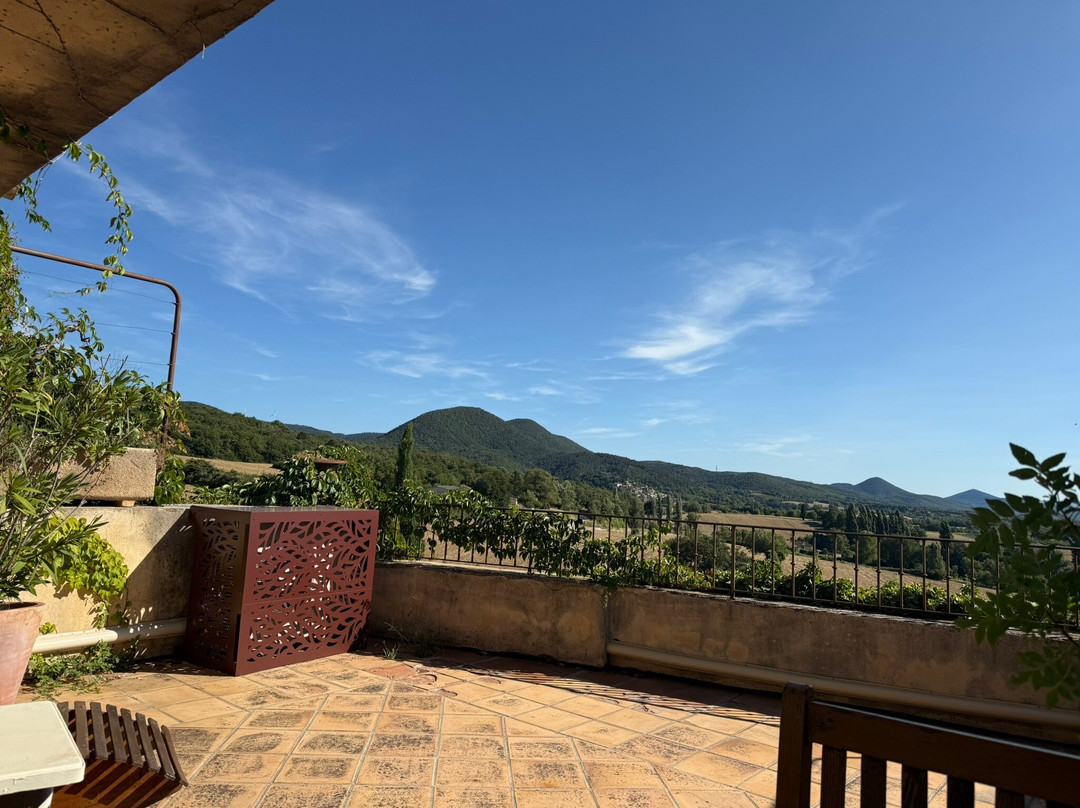 马斯喀特乔木酒店主图