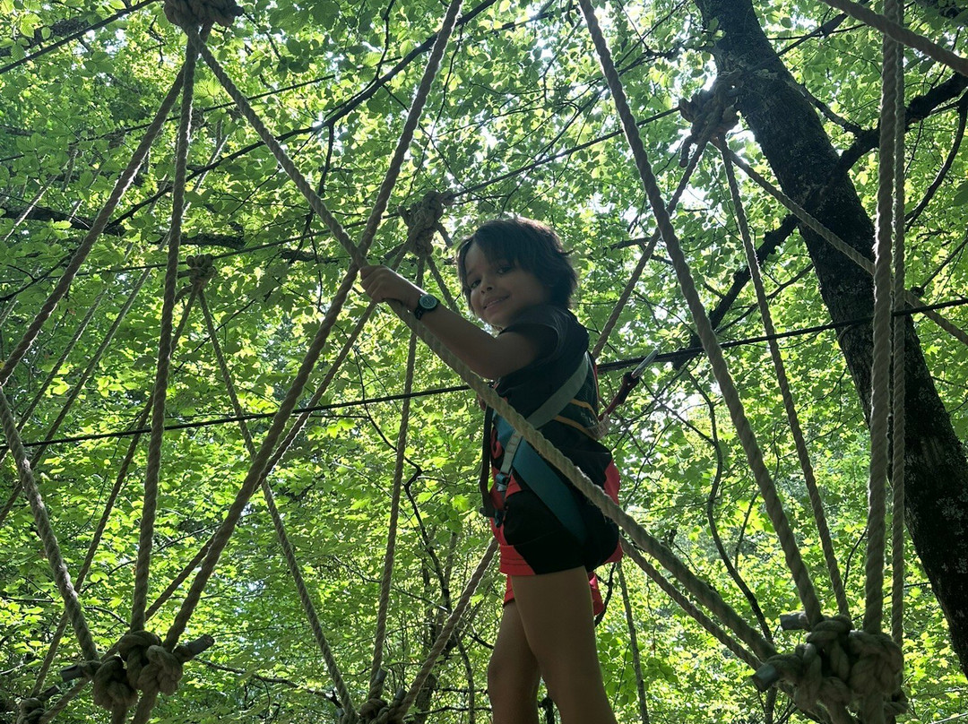 Parc Arbor et Sens-Saint-Genes-de-Lombaud必去景点