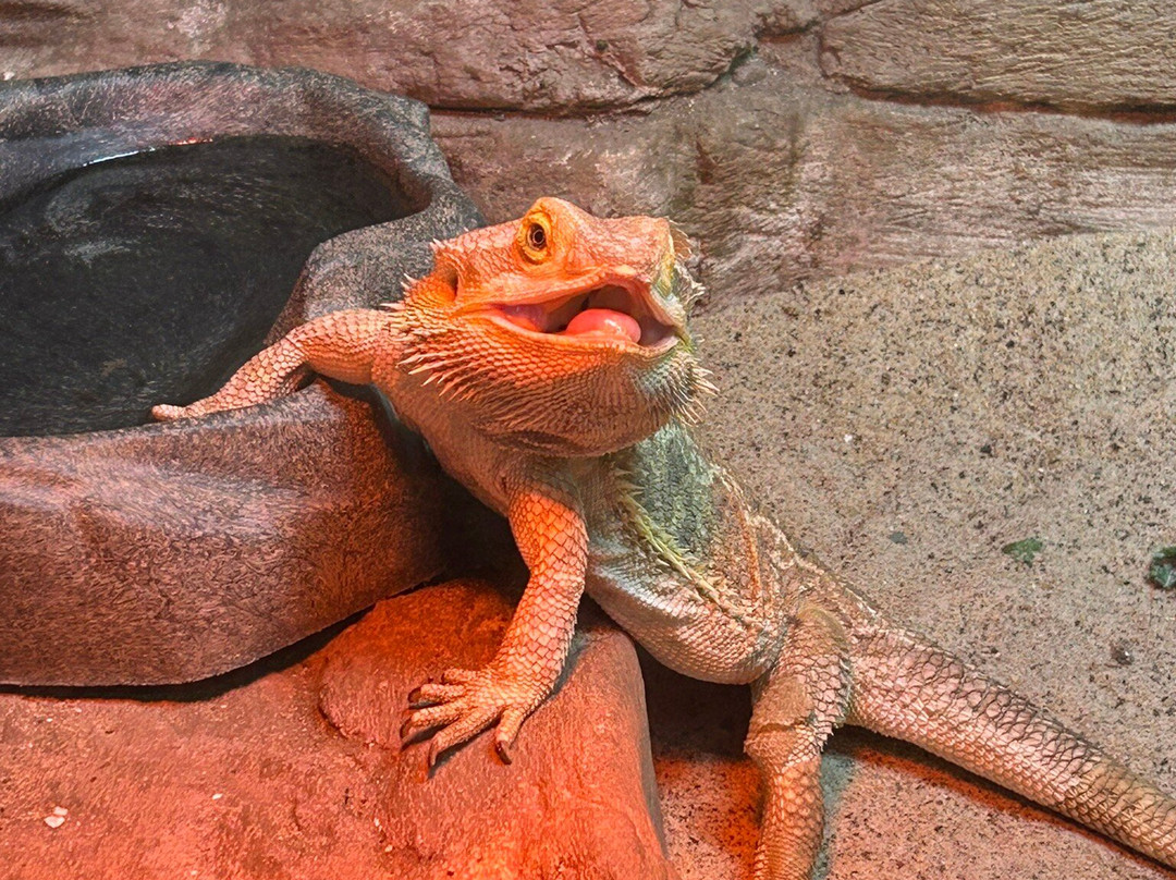 Rainforest Adventures-塞维尔维尔必去景点