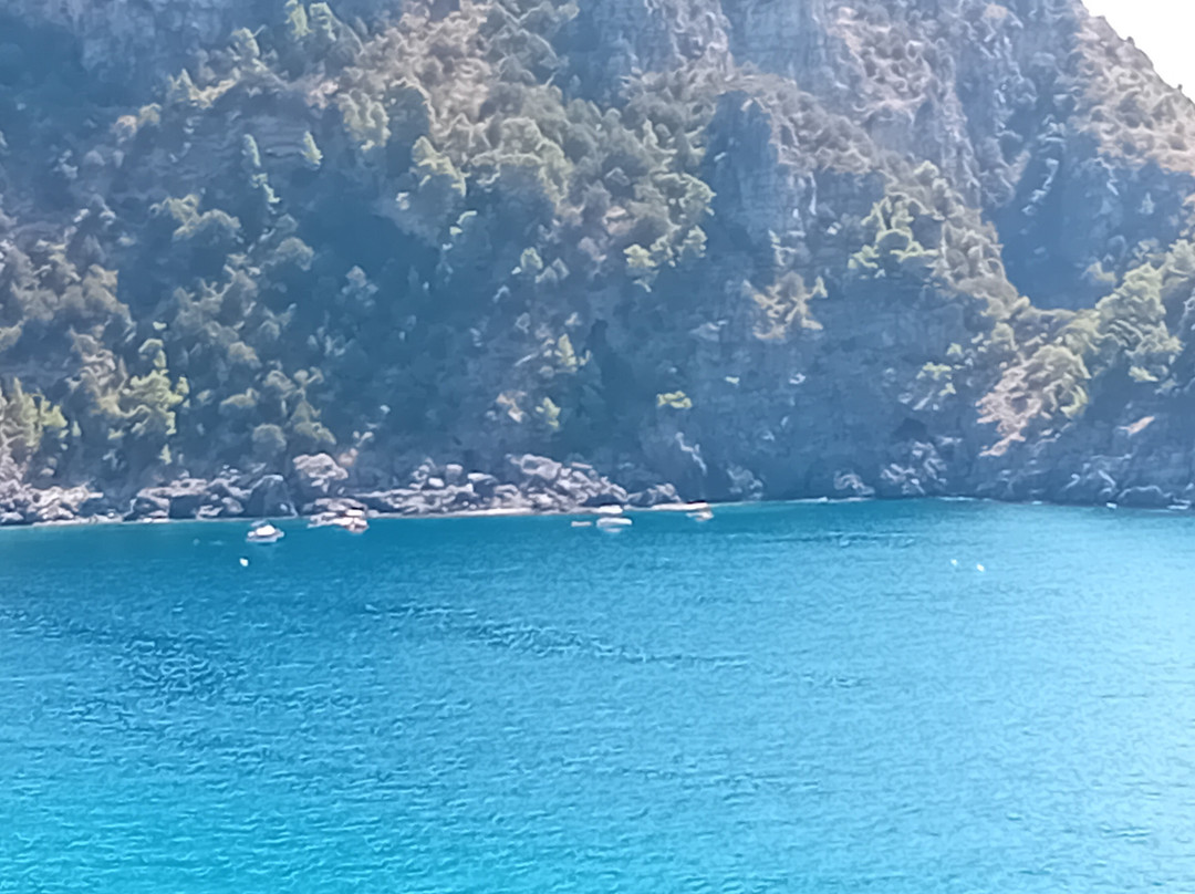 Cooperativa Cilento Mare-Marina di Camerota必去景点