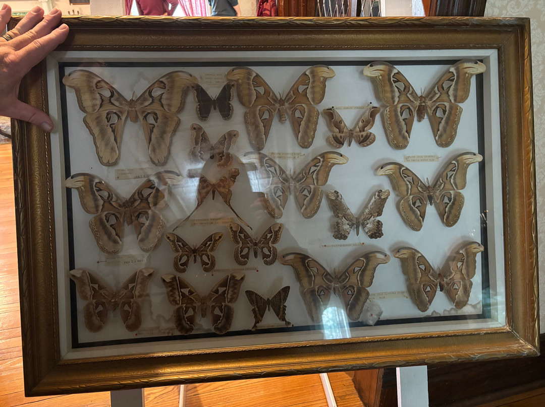 Hillcrest Museum-Souris必去景点