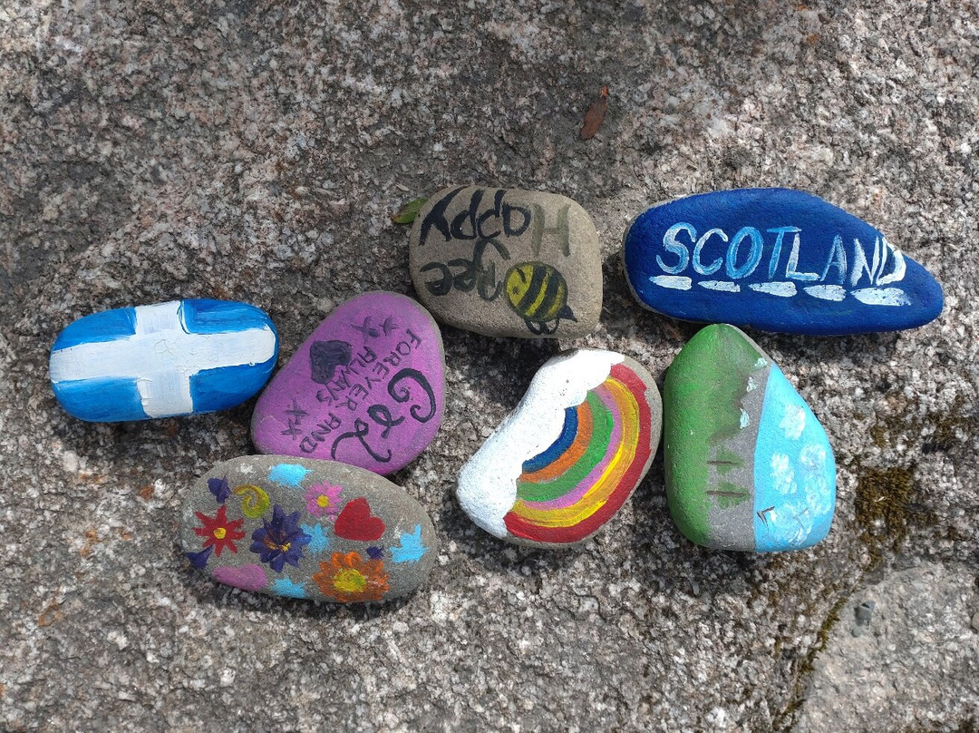 The Raiders Road Forest Drive-邓弗里斯-加洛韦必去景点