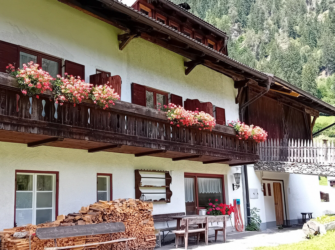 Pensione Rieplhof主图