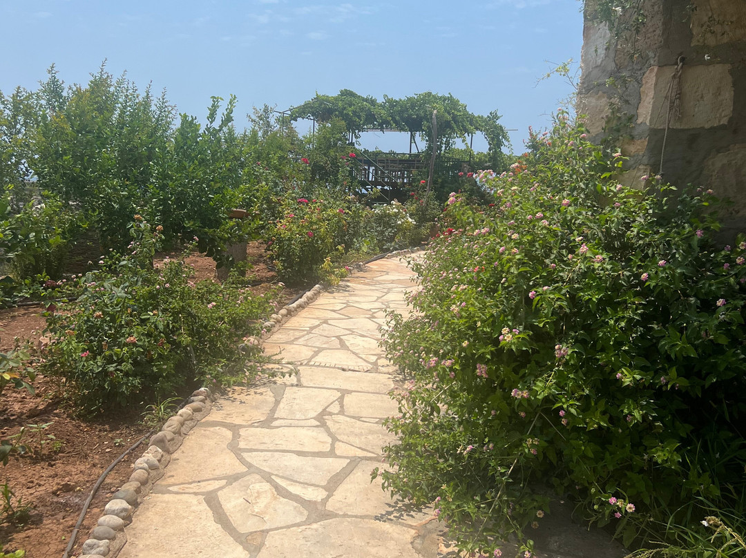 George's Taxi & Minibus-Coral Bay必去景点