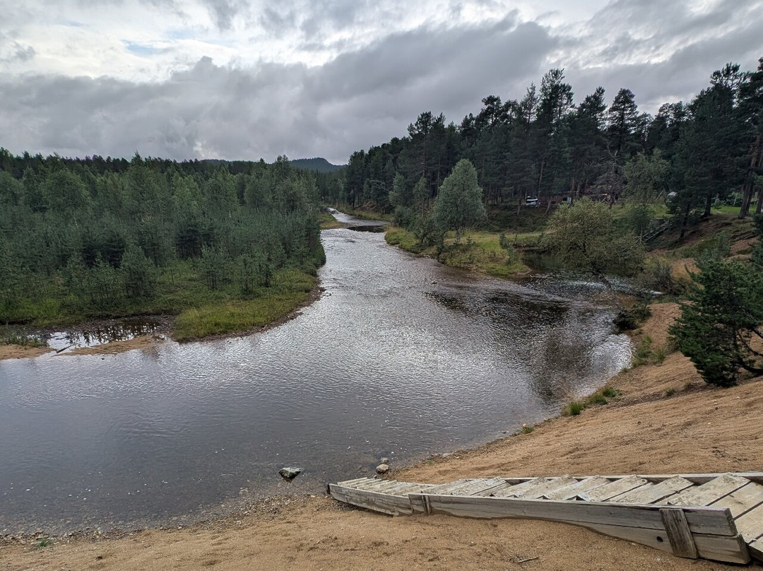 Inari Reindeer Farm-伊纳里必去景点