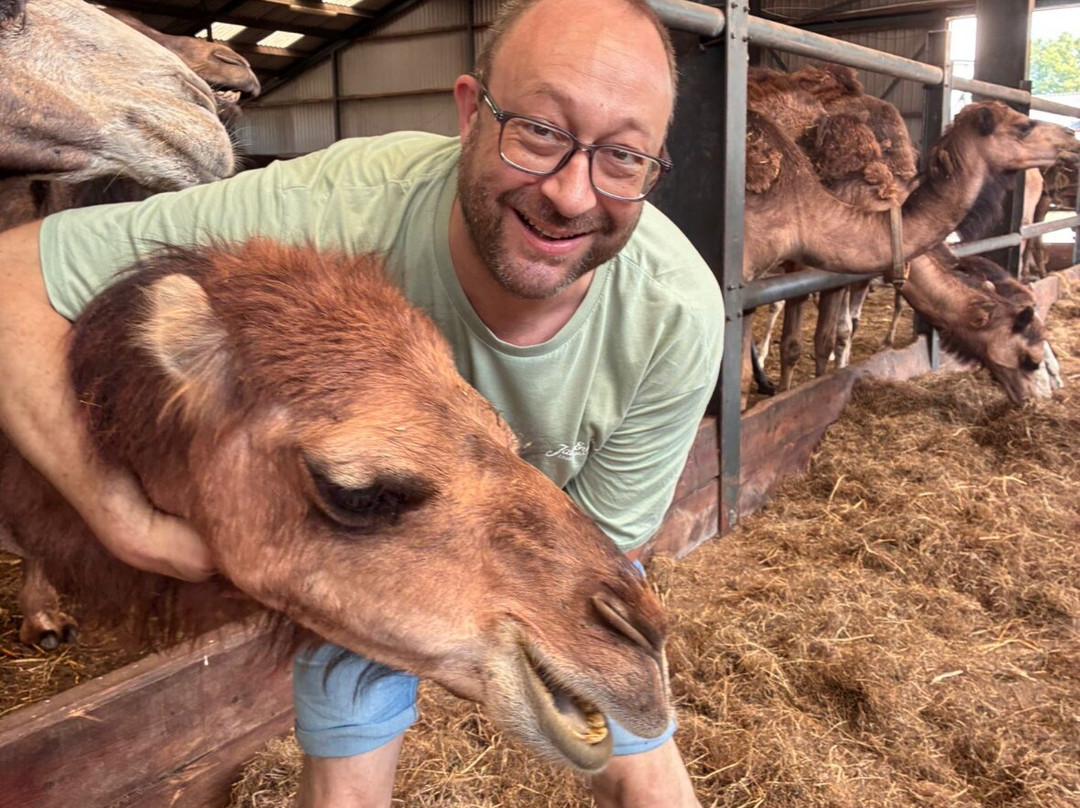 Camel Dairy Smits-Berlicum必去景点