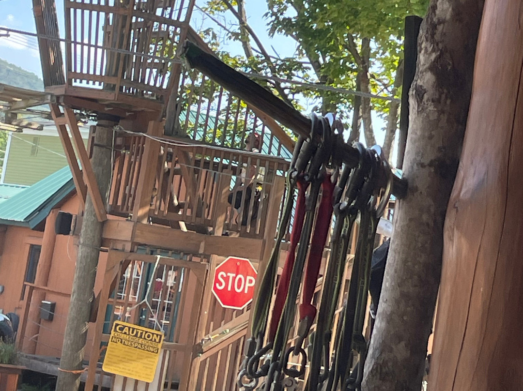 Alpine Adventures Outdoor Recreation-林肯必去景点