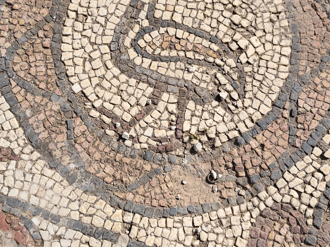 Bulla Regia-Jendouba必去景点